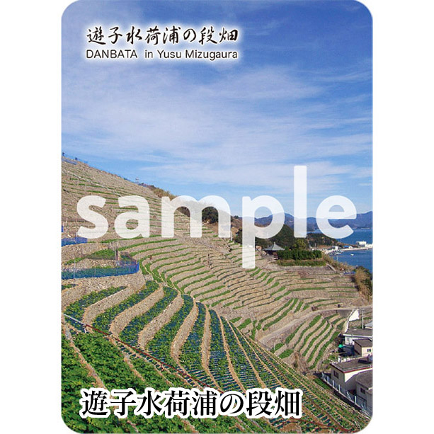 ランキング2024 サガサン 愛媛県 棚田カードとガイド(台紙)5箇所 