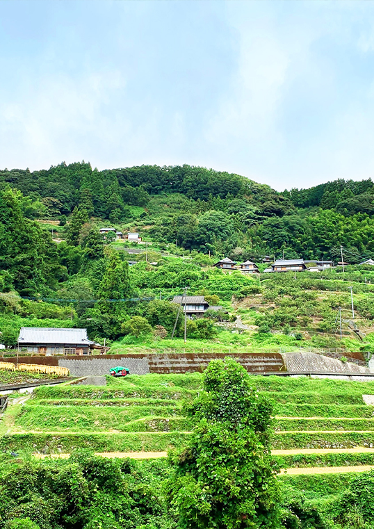 フォトギャラリー