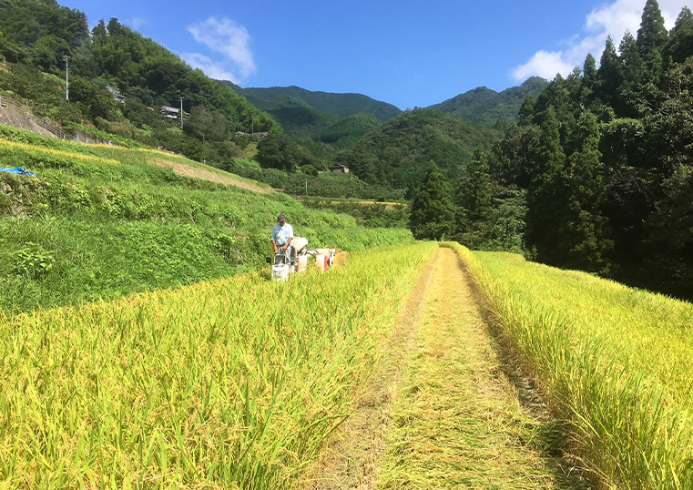 フォトギャラリー