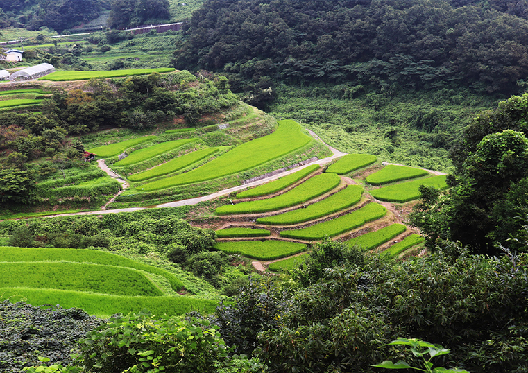 フォトギャラリー