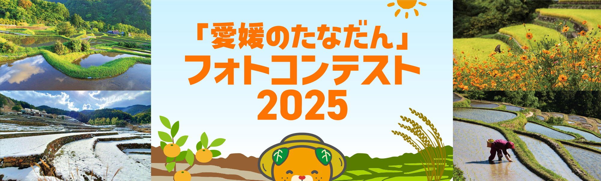 「愛媛のたなだん」フォトコンテスト2024｜愛媛のたなだん
