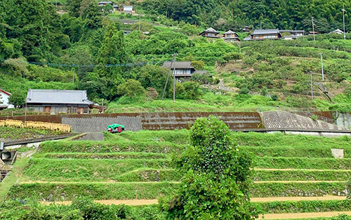 棚田・段畑